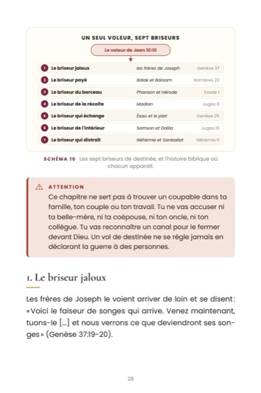 Les Briseurs de destinée · page du livre