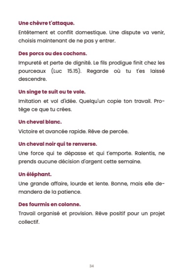 Le dictionnaire biblique des rêves · page du livre
